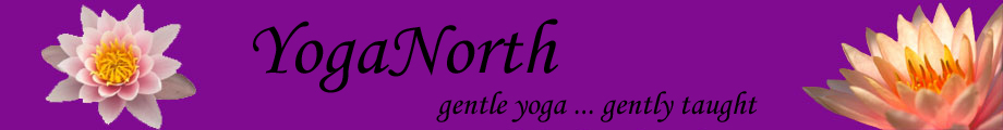 Yoga North's banner logo.